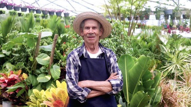 Happy Hispanic senior man work in greenhouse garden shop - Focus oHappy Hispanic senior man work in greenhouse garden shop - Sustainable agriculture, and small business conceptn face male