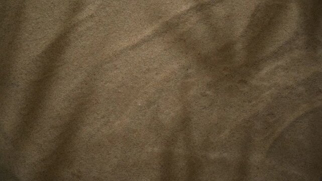 Abstract botanical shadow on water with sandy texture natural light reflection