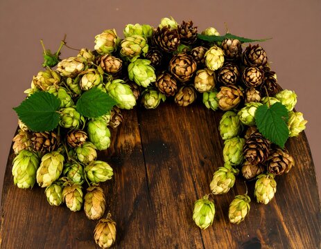 A wooden barrel's top with a lush arrangement of fresh and dried hop cones with a few vibrant green leaves scattered throughout the bounty