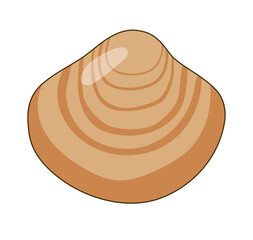 トリガイ（鳥貝）のベクターイラスト - 春の寿司ネタ・二枚貝 © Studio Trinity