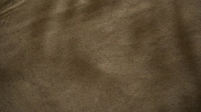 Leaf shadow movement on water surface over sandy background with natural sunlight reflections and texture