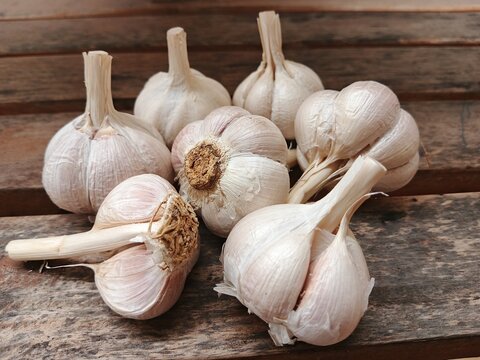 garlic