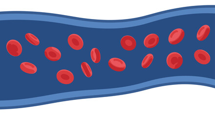 Obraz premium A single wavy blue blood vessel, with a lighter blue outer layer, shows numerous red blood cells flowing dynamically against a white background.