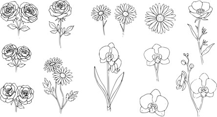 Floral Line Art Collection: Roses, Daisies, Orchids, and Anemone Outlines for Coloring Books and Design © kulinadsgn