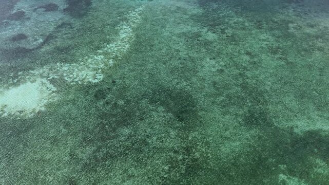 Aerial View of Turquoise Coral Reef in the Republic of Palau