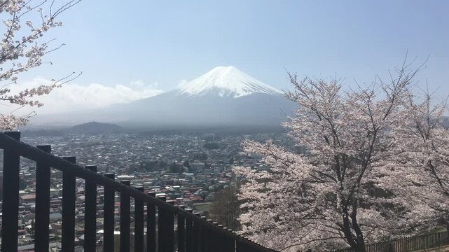 Scenic Mount Fuji View with Pink Cherry Blossoms and Fujiyoshida Cityscape. Majestic snow-capped Mount Fuji framed by blooming sakura trees and city view from Arakurayama Sengen Park observation deck 