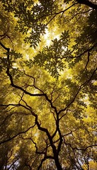Fototapeta premium Sun-dappled canopy weaves an emerald tapestry, rendered in muted sepia tones, a forgotten dreamscape from above, serene, nature art