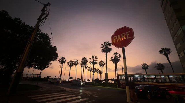 sunset over the city