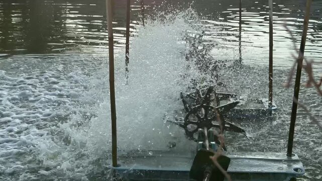 Paddle Wheel Aerator Working in Aquaculture Pond Fish Farming Water Oxygenation Video