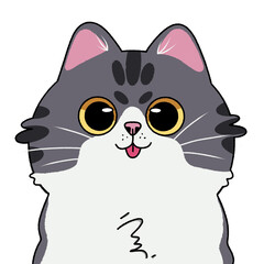 Adorable Big Eyed Tabby Cat