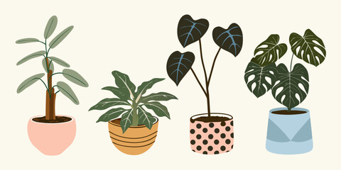 Stylized illustration of four potted houseplants with varied foliage © KrishnaPada
