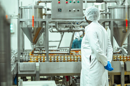 Industrial technician inspects processing equipment and oversees canned food filling system inside seafood factory, representing automation workflow and food safety management standards.