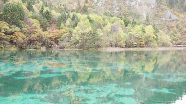 The clear and transparent lake with reflections of colorful forest. Beautiful landscape of Jiuzhaigou National Park in autumn in Sichuan Province China. 4K slow motion footage travel concept.