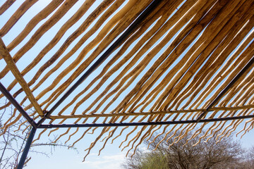 Rood or shade shelter made of wriggly tapered sticks supported overhead creating pattern light and shade.