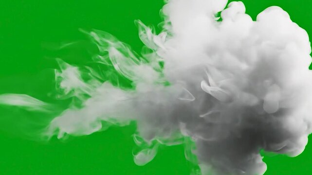Thick White Smoke Plume Rising Against Green Screen Background.