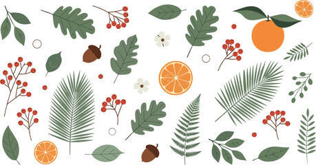 Autumn botanical vector set with leaves, orange slices, berries, acorns and forest foliage illustration © Rownok