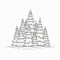 Obraz premium Hand-drawn outline illustration of a cluster of evergreen pine trees. Perfect for winter holiday designs, nature coloring books, or forest projects. Simple vector art.