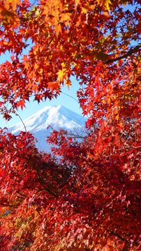 Iconic Mount Fuji surrounded by colorful fall foliage