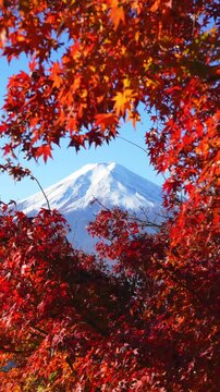 Mount Fuji framed by vibrant red autumn leaves in Japan