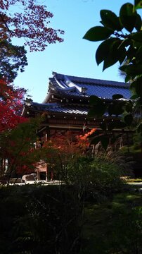Zen garden with temple and autumn foliage in Japan