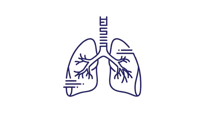 Illustration of human lungs and trachea medical diagram.