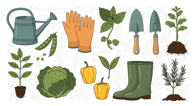 Comprehensive set of gardening tools and plants including watering can, gloves, boots, trowels, and vegetables on a leafy background.