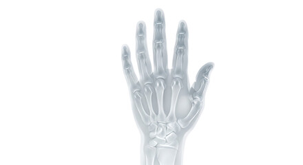 Obraz premium X-ray of a human hand with fingers extended isolated on transparent background