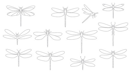 Dragonfly Collection: Minimalist Line Art Illustrations © anis