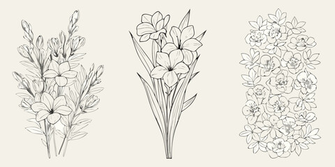Elegant floral arrangements of freesia and gladiolus in line art style © Mamata