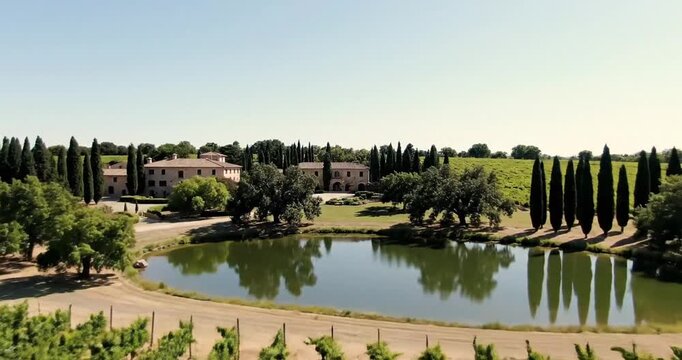 Aerial view of lush vineyard rows leading to a serene pond surrounded by trees and buildings