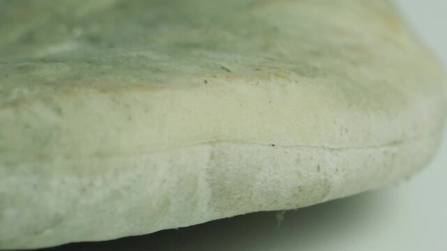 Expired sandwich bread covered in green mold, spoiled food waste with spreading fungus spores close up