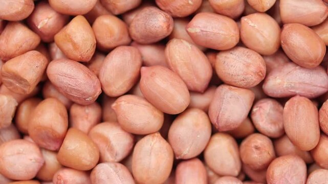 Pile of raw peanuts rotating slowly. Top view shot