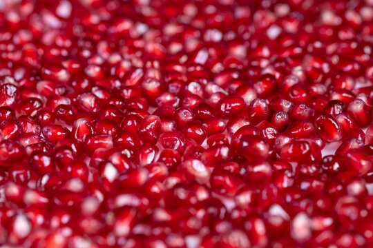Bright pomegranate seeds dense abstract pattern repeating glossy arils filling frame, macro texture study, vibrant red palette, minimal composition, artistic background