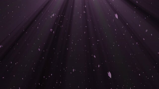 Cinematic **Cherry Blossom Petals** Falling in **God Rays Overlay** with Alpha Channel Loop 4K