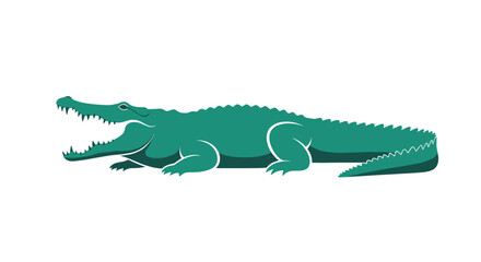Fototapeta premium Powerful green crocodile with its large mouth open and sharp teeth visible lies on the ground to show wild predator behavior in nature.