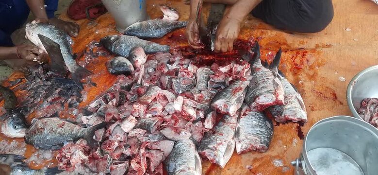 Skilled Fishmonger Cutting Fresh Fish with Sharp Knife