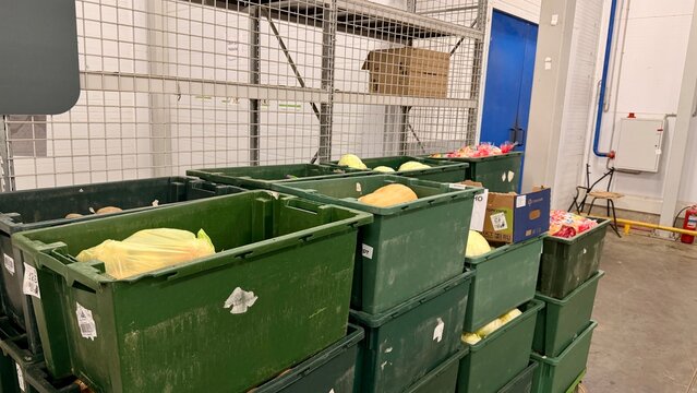 Harvested pumpkins and cabbage in green plastic crates at a wholesale warehouse. Fresh organic vegetables stored in industrial containers for food distribution. Logistics and grocery supply chain.