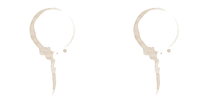Brown coffee stains on transparent background