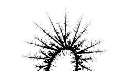 Fototapeta premium Abstract black fractal pattern resembling a sunburst or snowflake on a white background.