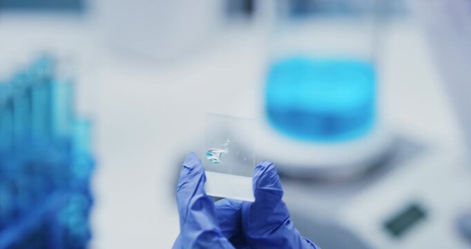 Person, tube and scientist with petri dish for chemical testing, clinic trial or cure in laboratory. Closeup, hands and experiment with liquid syringe for medical research or examination preparation