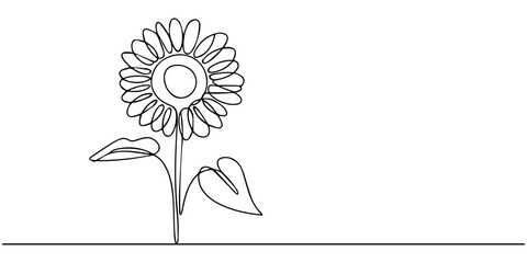 Sunflower continuous one line drawing in minimalist outline style, Minimalist sunflower design using a continuous single line drawing, Continuous line drawing of two sunflowers one standing upright © JCS Graphic Design 