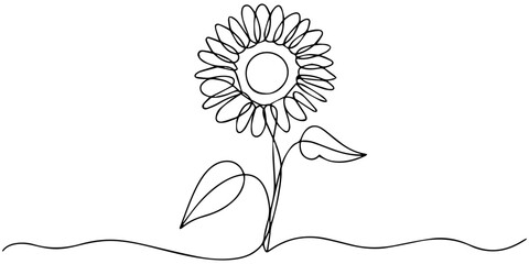 Sunflower continuous one line drawing in minimalist outline style, Minimalist sunflower design using a continuous single line drawing, Continuous line drawing of two sunflowers one standing upright © JCS Graphic Design 