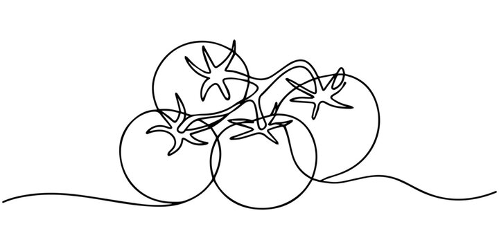 Continuous one line drawing of tomato. A whole and sliced tomatoes. one line art icon drawing vector