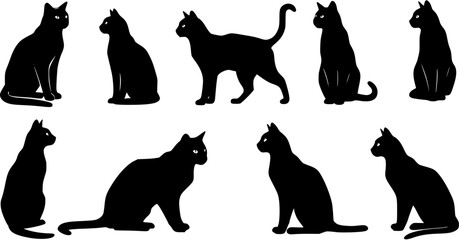 Detailed black cat silhouettes set: domestic felines in diverse sitting, standing, and resting poses. Vector illustration isolated on a crisp white background. © evalova