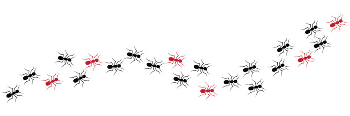 Ant Trail Vector Icon Set &ndash; Marching Colony Silhouettes, Insect Path and Dynamic Movement Illustration