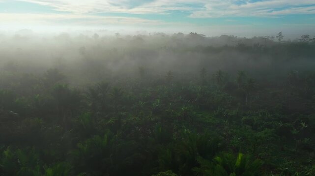 Remote bush jungle Kapuna Hospital Baimuru Delta Gulf Province Papua New Guinea PNG Papua Niugini aerial drone morning fog Karurua Ara'ava Village Wame River costal swamps wetlands left motion