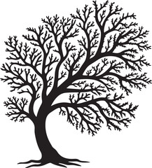 Black Silhouette of a Tree with Bare Branches on a White Background