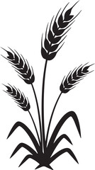 Obraz premium Wheat Grain Cereal Plant Silhouette Icon Vector Illustration Black and White