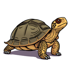 Fototapeta premium Toon Tortoise Isolated on white