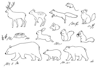 Woodland Animal Collection Outline Illustration Set